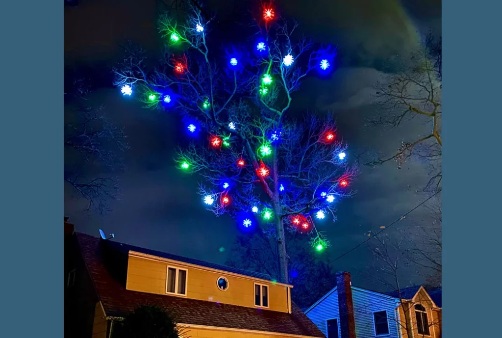 Tree Health's Holiday Light Hanging services in Long Island, NY
