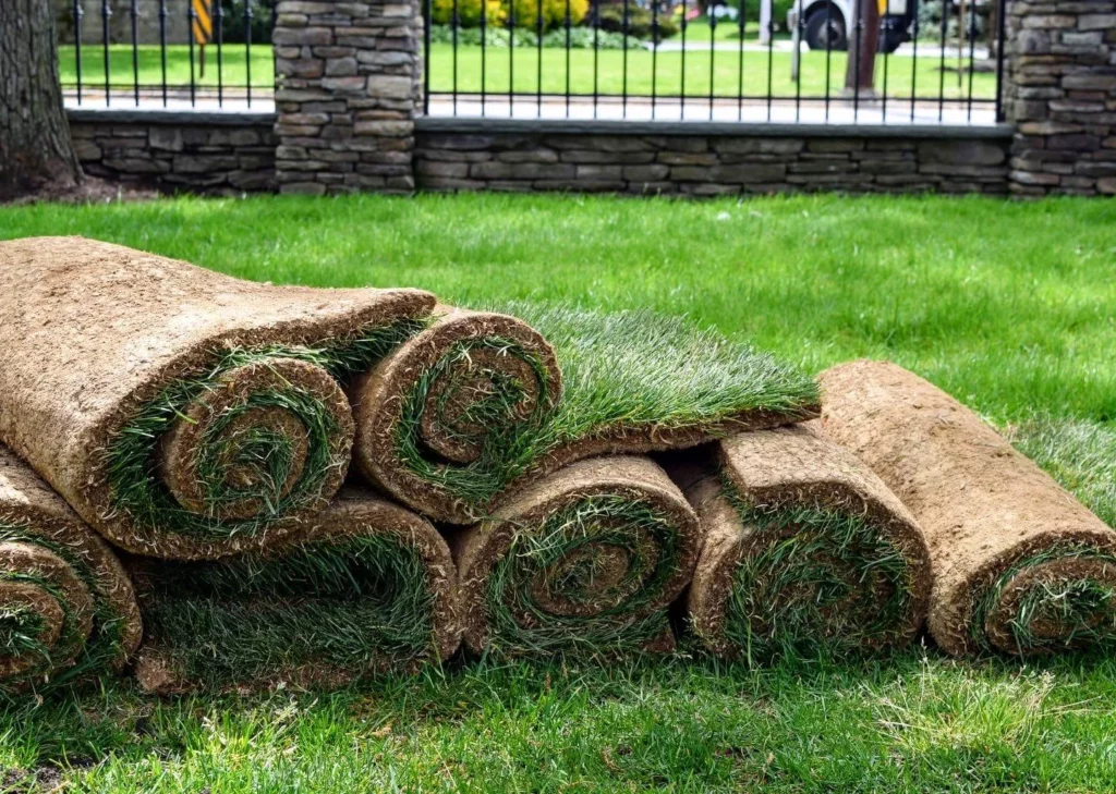 Tree Health's Planting and Sod Installation services in Long Island NY